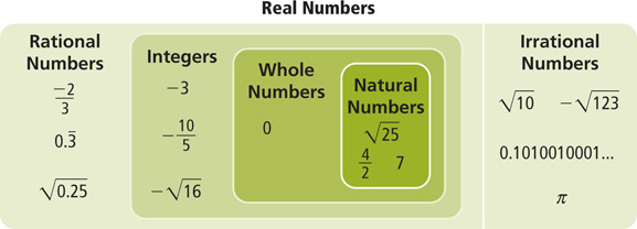 Examples of the categories of real numbers are given.