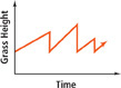 A graph displays the relationship of time to grass height.