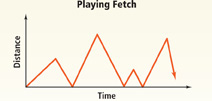 A graph displays the distance between a dog owner and her dog as they are playing fetch.