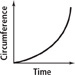 This graph of circumference versus time is a curve that rises from approximately (0, 0). It has a shallow slope at first but the slope increases over time.