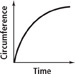 This graph of circumference versus time is a curve that rises from approximately (0, 0). It has a steep slope at first but the slope decreases over time.