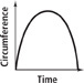 This graph of circumference versus time is a curve that rises from approximately (0, 0) to a peak near the center of the visible x-axis, then falls back to the x-axis.