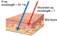 A drawing of layers of skin shows an X-ray with a wavelength of 10 to the minus ten power meters penetrating multiple layers of skin. What is the wavelength of an ultraviolet ray?