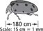 The model ladybug is 180 centimeters long. Each 15 centimeters of length of the model equals 1 millimeter of length of an actual ladybug.