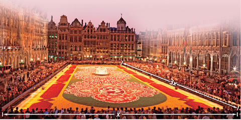 A rectangular flower carpet is x meters wide and 3x meters long.