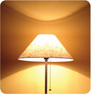 A lamp with a tapered cone has light shinning onto the wall above and below the shade that resembles a hyperbola.