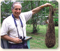 Photograph of Joseph S. Levine