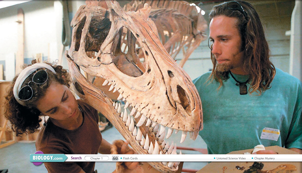 Two scientists study a dinosaur skeleton.