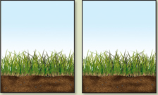 Images of two plots placed next to each other.  