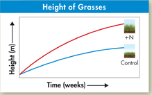 A line graph titled 'Height of Grasses' used for drawing conclusions from the data.