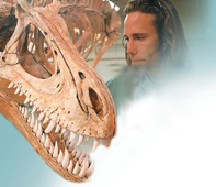 A scientist studies a dinosaur skeleton.