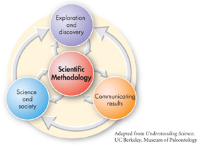 A flowchart with two-way interconnected arrows between 'Scientific Methodology' and 'Exploration and discovery', 'Communicating results' and 'Science and society.' The image is adapted from Understanding Science, UC Berkeley, Museum of Paleontology. 