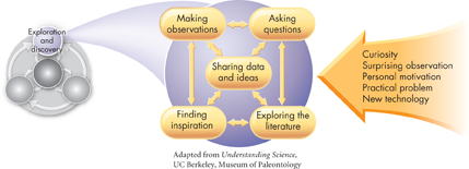 An illustration showing the ways ideas may arise leading to exploration and discovery.