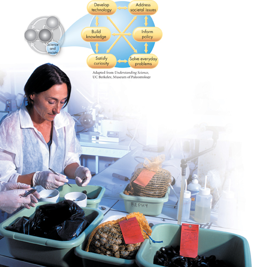 An illustration shows the role science plays in the society.