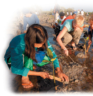 A group of students plant saplings.