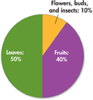 Pie chart indicating the diet of siamang gibbon. Siamang's diet includes: 
Leaves: 50 percent
Fruits: 40 percent
Flowers, buds, and insects: 10 percent