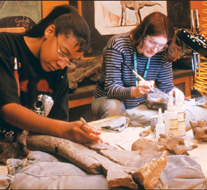 Two paleontologists study fossilized dinosaur bones.