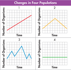 Four different line graphs illustrating the change in the size of four different populations.