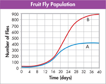 Graph titled 'Fruit Fly Population' displaying the change in population size of two groups of fruit flies.
