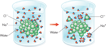 Two diagrams that show sodium chloride compound placed in beaker that contains water. The molecules of water surround each of sodium and chlorine ions separately and an arrow shows the transition. 