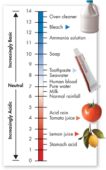 A pH scale ranging from 0 to 14.