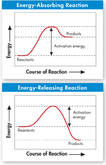 Two bell-shaped graphs titled 'Energy-Absorbing Reaction' and 'Energy-Releasing Reaction' shows activation energy involved in chemical reactions. 'Reactants', 'Activation energy', and 'Products' is marked on each graph.