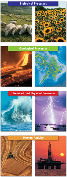 A set of two  examples to present the different biogeochemical processes. 
