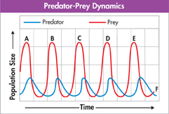 A graph captioned 'Predator-Prey Dynamics' shows the interaction between 'predator' and the 'pray.'