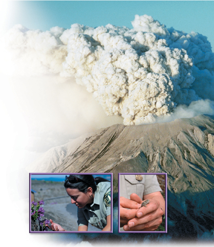 A picture of volcanic eruption, with huge quantity of ashes in the form of smoke coming out from Mount Saint Helens. Two inset images shows forest service rangers surveying the plants and animals that have returned to the volcanic erupted area.