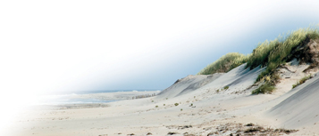 The image shows a sand dune away from a beach.