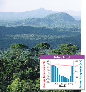 A photograph of tropical rain forests in Belem at Brazil and a graph illustrating its average climate during each month of the year. 