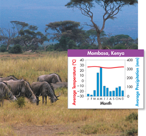 A photograph of tropical grassland in Mombasa at Kenya and a graph illustrating its average climate during each month of the year. 