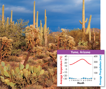 A photo of desert in Yuma at Arizona and a graph illustrating its average climate during each month of the year. 