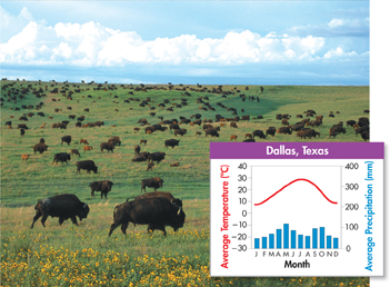 A photo of temperate grassland in Dallas at Texas and a graph illustrating its average climate during each month of the year. 
