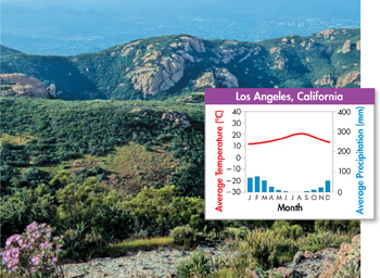 A photo of temperate woodland and shrubland in Los Angeles at California and a graph illustrating its average climate during each month of the year. 