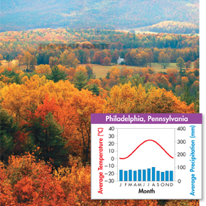 A photo of temperate forest in Philadelphia at Pennsylvania and a graph illustrating its average climate during each month of the year. 