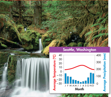 A photo of northwestern coniferous forest in Seattle at Washington and a graph illustrating its average climate during each month of the year. 