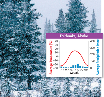A photo of boreal forest in Fairbanks at Alaska and a graph illustrating its average climate during each month of the year. 