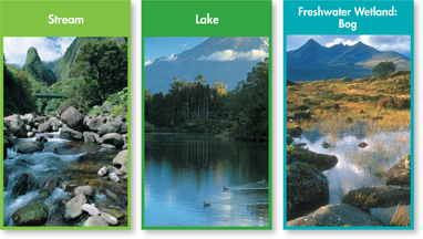 Photo of  river stream, lake and freshwater wetland or bog to indicate the three components of freshwater ecosystems.  
