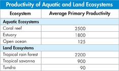 A table of 'Productivity of Aquatic and Land Ecosystems' is shown with data for 'Ecosystem' and 'Average Primary Productivity'.  
