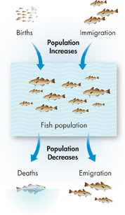 The illustration shows natural factors that affect the growth of population.