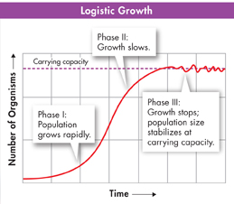 Graph shows the logistic growth of population.