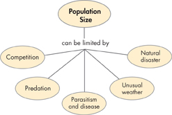 A concept map showing the factors that can limit the population growth. 