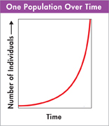 A line graph captioned 'One Population Over Time' is plotted between 'Time' in x-axis and 'Number of Individuals' in y-axis. The curve originates at (0,0) and takes the shape of semi parabola.