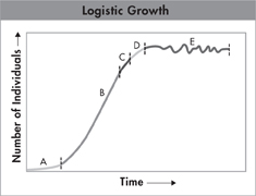An illustration of logistic growth of population.