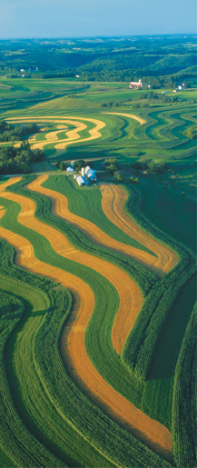 A field where the planting of crops is parallel to the land’s natural contours.