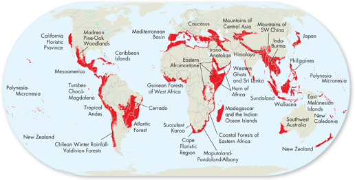 Ecological Hot Spots' are marked on the Earth with red color. The 34 hot spots seen here which cover just 2.3 percent of Earth’s land surface, but they contain over 50 percent of the world’s plant species and 42 percent of its terrestrial vertebrates.