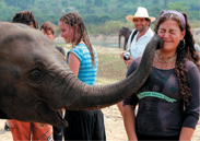 A rescued elephant kissing a tourist.