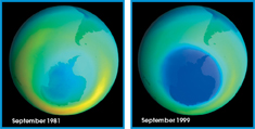 The two images shows the ozone concentration over Antarctica from 1981 to 1999. The images indicates that the ozone layer had thinned since 1981.