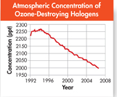 A graph showing Atmospheric Concentration of Ozone-Destroying Halogens.